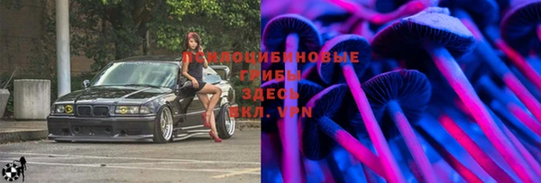 тгк Алзамай