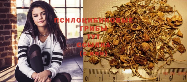 тгк Алзамай