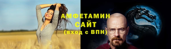 дмт Алексин